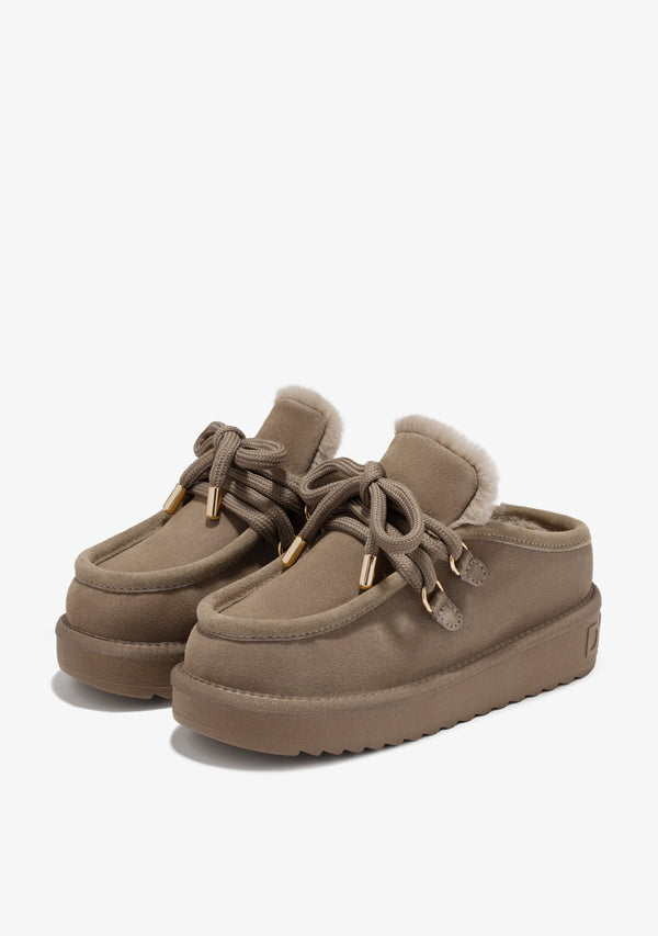 Zimske papuče D.Franklin Nordic Clog Taupe G629 - TAUPE