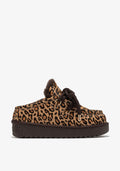 Zimske papuče D.Franklin Nordic Clog Leo G629 - LEOPARD