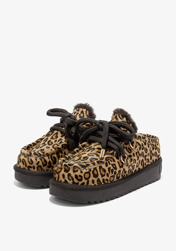 Zimske papuče D.Franklin Nordic Clog Leo G629 - LEOPARD